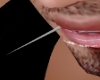 diamond toothpick M/F