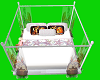 Canopy Bed White