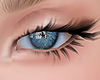 Agatas Eyes 2