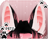 [Pets] Cass | ears v5