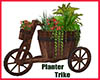 Planter " Trike"