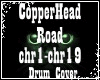 CopperHead Road Cover