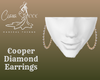 Cooper Diamond Earrings