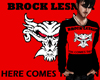 brock lesner 