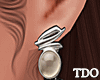 Silver ! Earrings