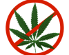 ! No Marijuana Sticker
