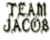  Team Jacob