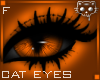 Orange Eyes F1b Ⓚ