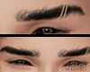 sk. Eyebrows Lines