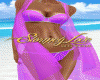 Pretty In Purple Bikini