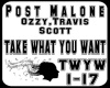 Post Malone -TWYW