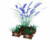 >Blue Orchid Planter<