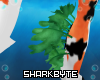 S| Shakoi Leg Seaweed