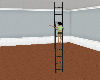 [SaT]Libary ladder