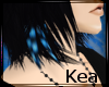 K!t- Kea Hair Feathers