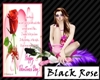 [wayu]Valentine Black R