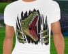 Boys Dinosaur T-Shirt