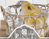 Birchwood Pillow Basket