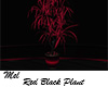 Red Black Plant