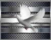 Dove (No Picture Frame)