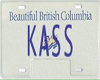 (V) Kass Licence