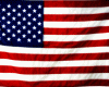 Flag U.S.A