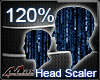 Max- Head Scaler 120%