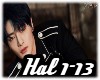 I.N  - Hallucination