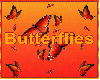 butterfly rave fans