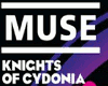 MUSE DUBSTEP KNIGHTS OF