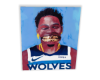 Wolves canvas