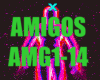 AMIGOS (AMG1-14)