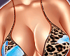 Tropical Set V2