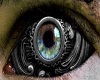 witch eye