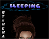 ~GT~ Sleeping Head Sign