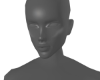 Full Face Highlighter D