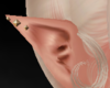 !𝕯 Estels elf ear❥