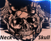 Neck Skull