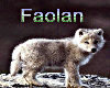 Faolan Family Banner