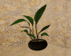 modern plant
