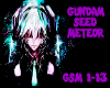 Gundam Seed Meteor