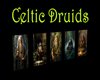 5pc Celtic Druid Art
