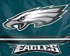 Philly Eagles 3