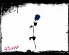 Blue Single Rose