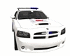 polisand police car