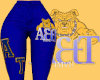 Aggie Jeans