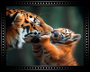 🐅 Tiger Mom&Baby BG