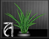 [Ari]Pinstripe Planter
