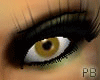 {PB}Princess Gold Eyes