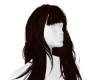 Brunette Hair w/Bangs